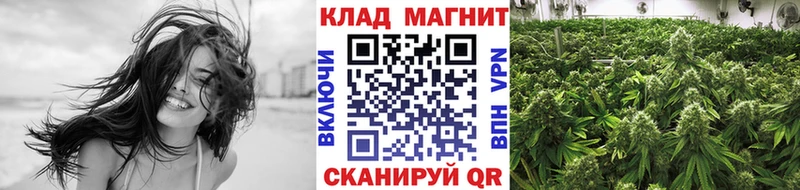 Магазин наркотиков Апатиты Конопля  СОЛЬ  ГАШИШ  МЕФ  Cocaine 