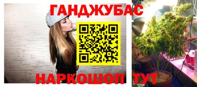 сатива Абакан