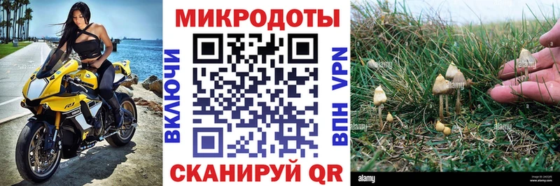 Псилоцибиновые грибы MAGIC MUSHROOMS  OMG tor  Апатиты 
