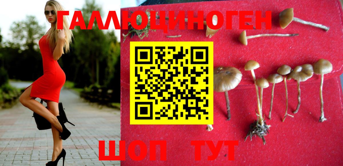Псилоцибиновые грибы мицелий  Вход с VPN  Галлюциногенные грибы GOLDEN TEACHER  Апатиты 
