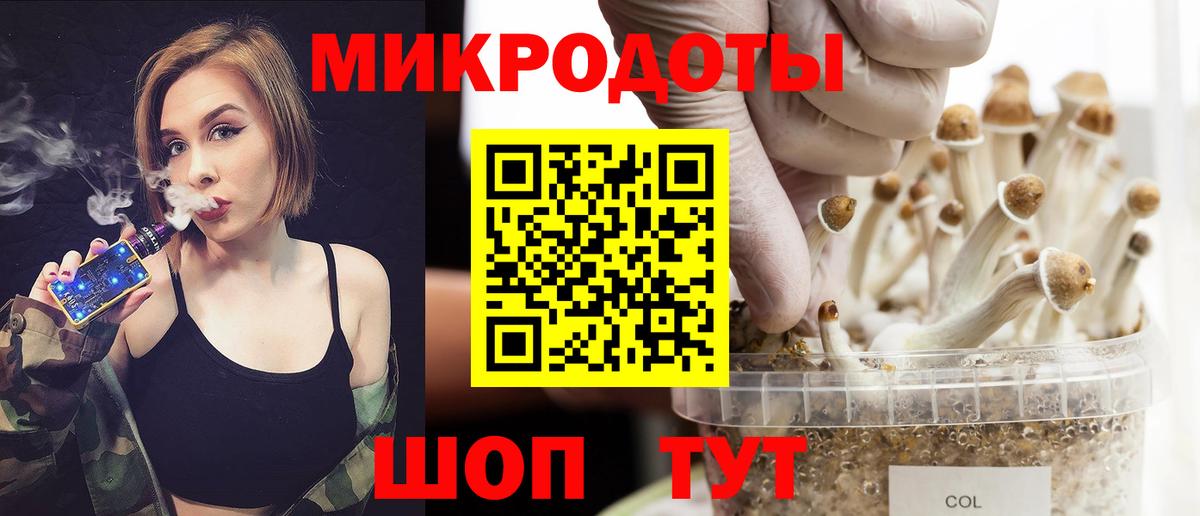 Галлюциногенные грибы MAGIC MUSHROOMS Апатиты